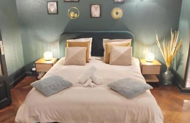 Nancy Vieille Ville Stanislas - Foto 57