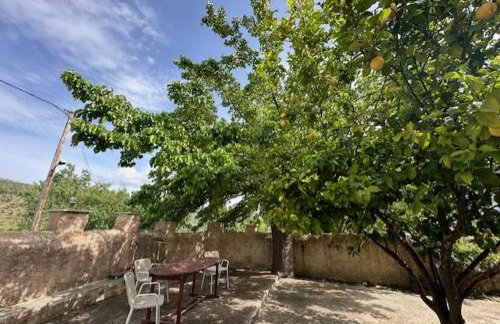 Πυργοσπιτο Χαντζακου - Foto 39