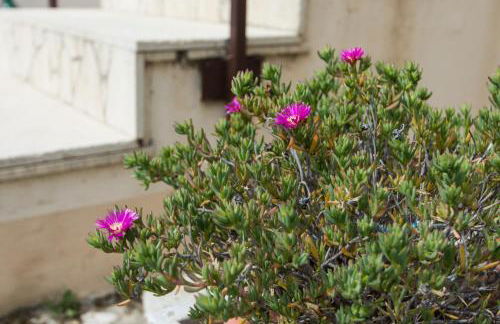 Relais Case Passamonte Resort & Rooms - Foto 65