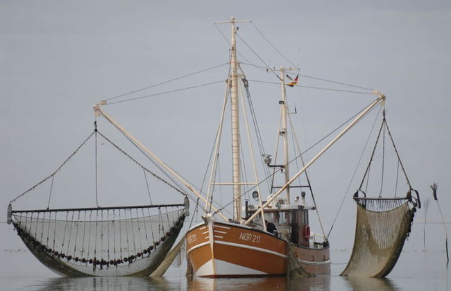 Strandhuus Modern Retreat - Foto 14