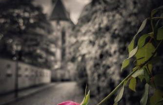 Ferienwohnung Schlossblick Altenburg - Foto 8