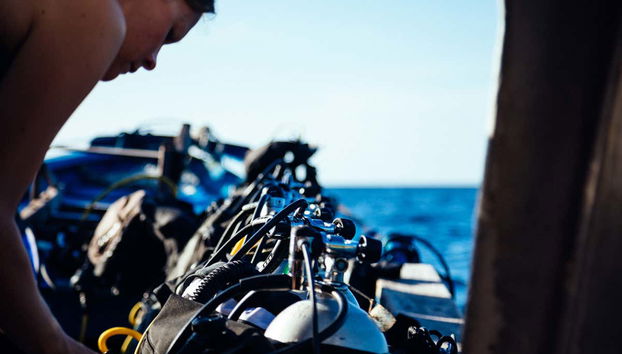 Santa Pola Diving Introduction - Foto 2