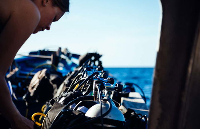 Santa Pola Diving Introduction - Foto 2