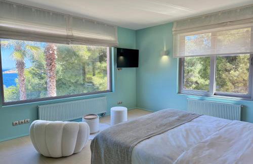 Blue Angel Villa Luxury Seafront Estate - Foto 18