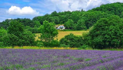 La Lumière Dorée - Foto 1