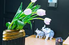 Accessible Luxury - Foto 60