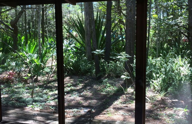 Byron Bay Rainforest Resort - Photo 20