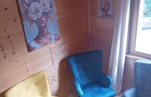 gîte des 1000 étangs - Foto 48