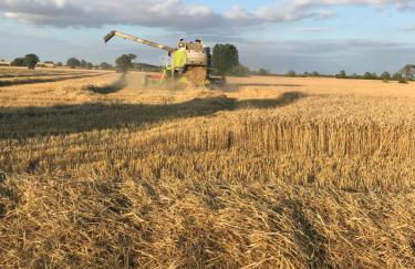 Church Farm, Legbourne Louth - Foto 45