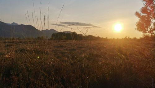 Beste Zeit Ferienwohnung - Foto 5