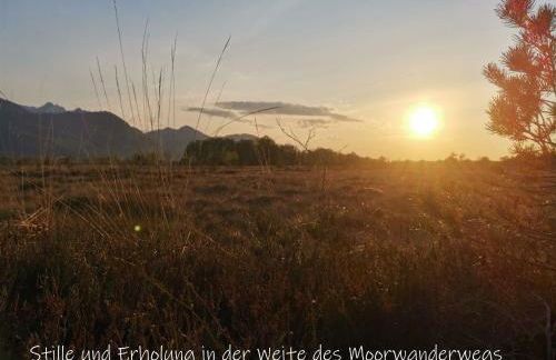 Beste Zeit Ferienwohnung - Foto 5