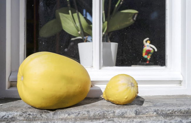 Cosy Flat in South Limburg Near Maastricht - Foto 52