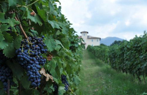 Cincinnato Wine Resort - Foto 47