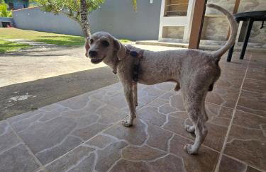 Casa em Praia Seca com Quintal - Foto 48
