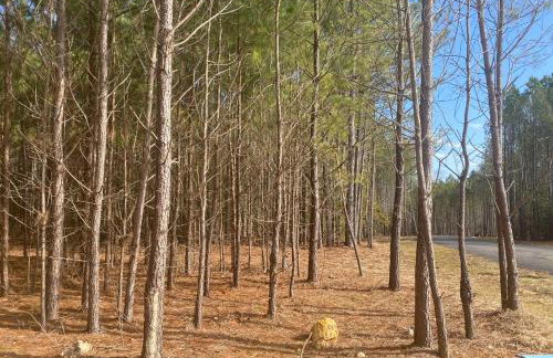 True Tiny Home & Community - 6 Mins To Downtown - Foto 9