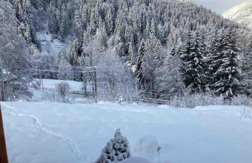 Apartment in new chalet with private garden - Foto 30