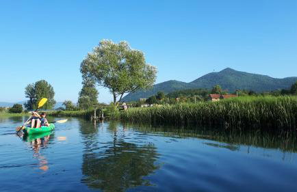 Apartments Tomas - Foto 18