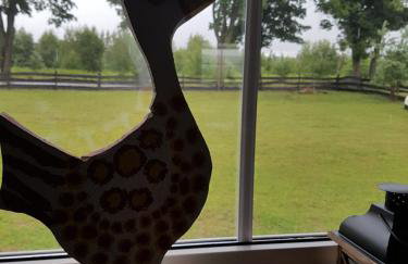 Gościniec Tymawa - Foto 27