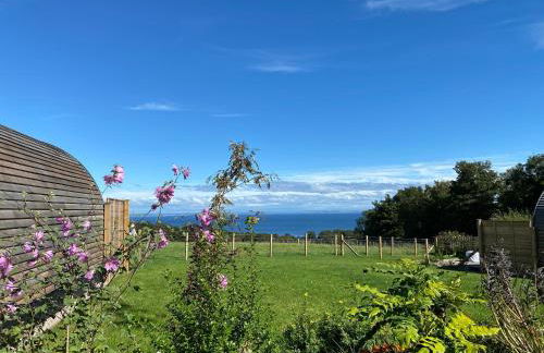 Dundhu - Uk7834 - Photo 14