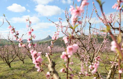 Agriturismo Green Planet - Foto 15