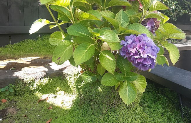 Harbour View Cottage Boutique B&b - Foto 46