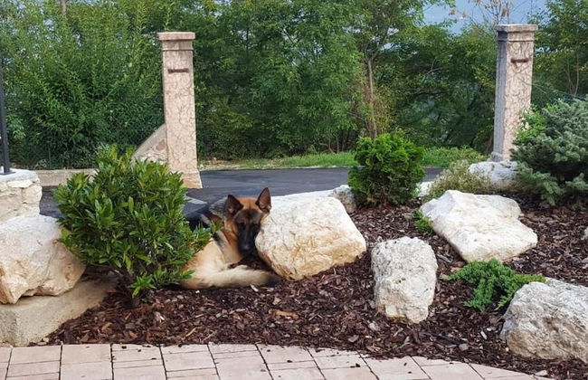 Agriturismo Al Maniero - Photo 30