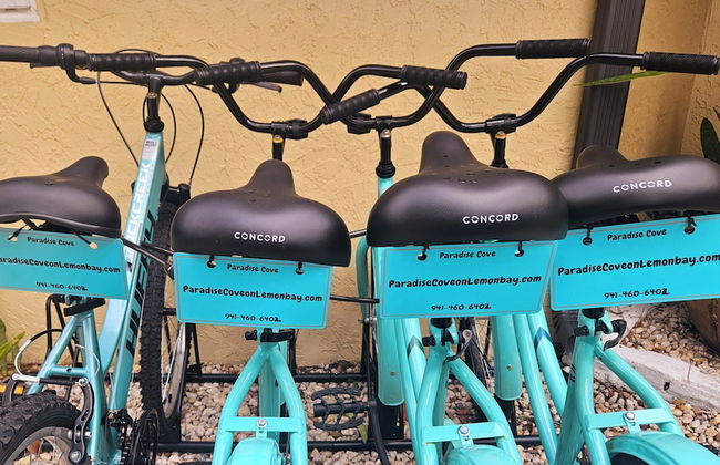 Paradise Cove at Lemon Bay - Foto 46