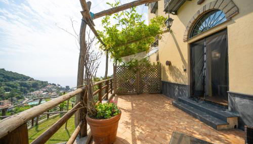 Limoneto Di Ercole - Foto 2