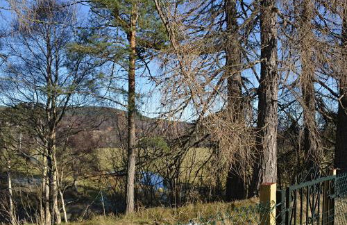 Tall Pines - Foto 17