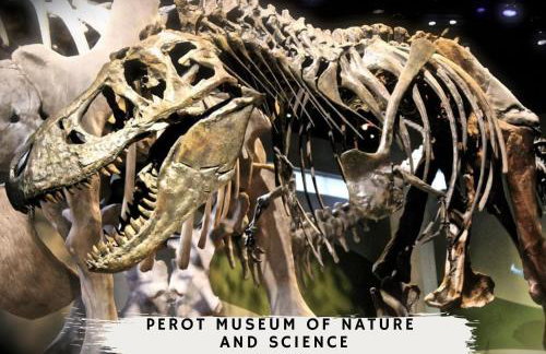 Modern 4BD Best in the West Dallas Area - Foto 30