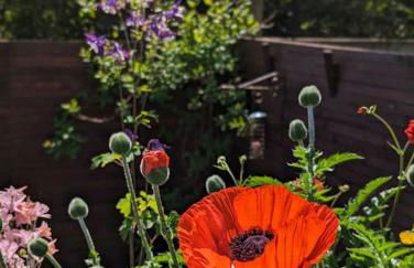 Luxury 18th Century Stone Built Cottage - Foto 40