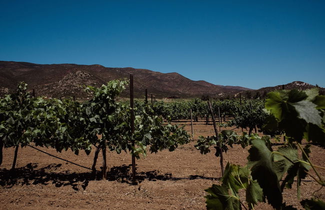 Rancho Toros Pintos - Foto 24