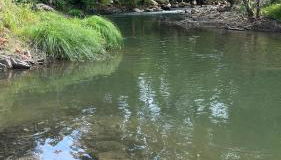 Casa El Olivo - Foto 4