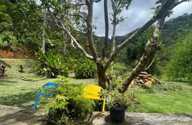 Vale das Quaresmeiras - Foto 49