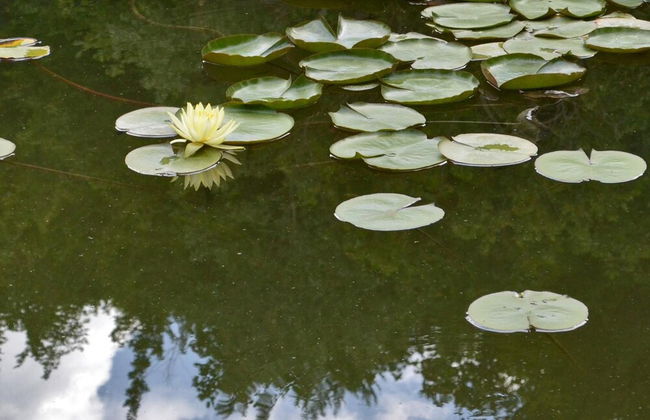 Locanda della Rocca - Foto 59