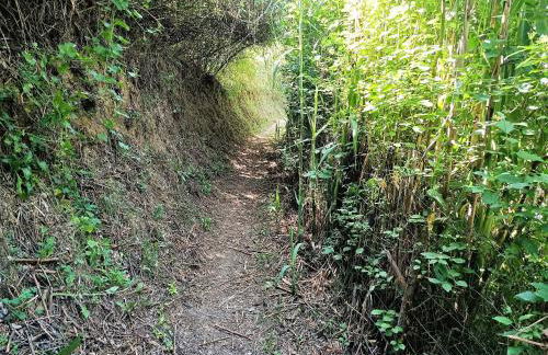 Vivalidays Casa Rural Anna Mieres Gerona - Foto 47