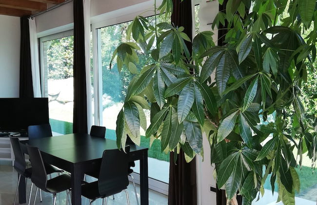 Villa Belvedere degli Ulivi - Photo 37