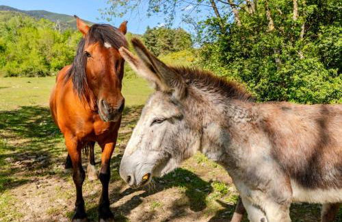 Casa Rural Orós - Photo 45