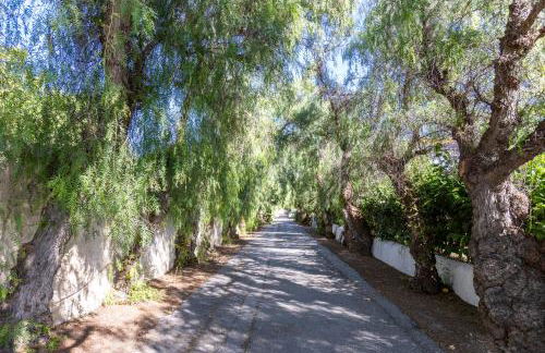 Todimer casa roble - Photo 10