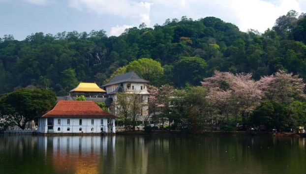 Kandy Private Day Trip - Foto 2