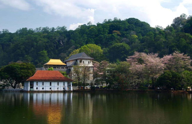 Visite privée de Kandy - Photo 2