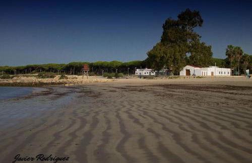 Pisoelpuerto - Foto 35