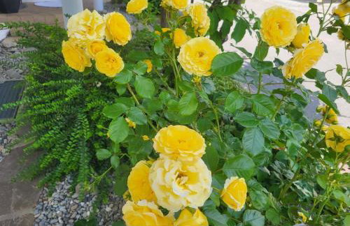 Haus Obere Weinburg - Foto 20