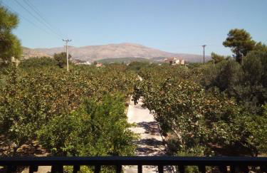 Family and friendly home. - Foto 25