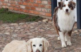 Zagroda w Puszczy - Photo 20