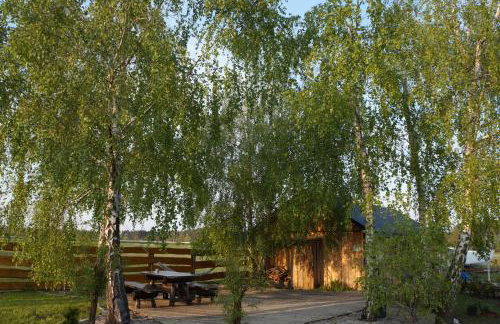 Drewniany Zakątek z sauną i jacuzzi - Foto 36