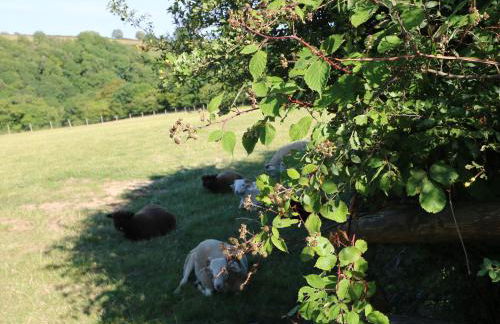 Stable Cottage - Foto 17