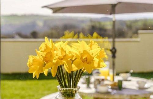 3 Bed in Clynderwen oc-73936 - Foto 24