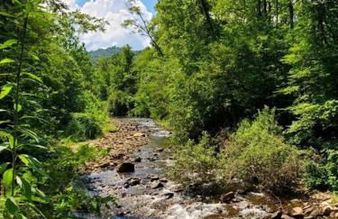 Country Mountain Escape! - Foto 35