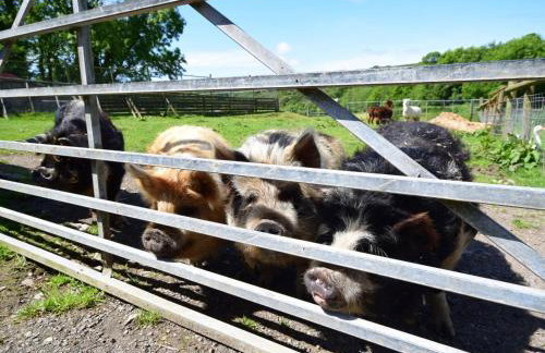 2 Bed in Ilfracombe oc-maltc - Photo 22